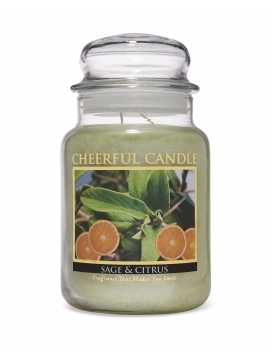 CHEERFUL CANDLE - SAGE & CITRUS - L